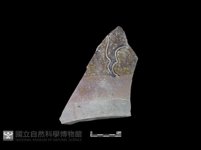 陶缸藏品圖，第2張