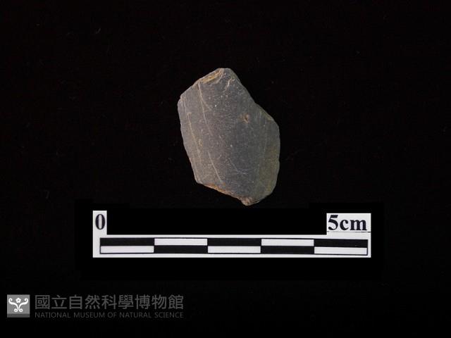 磨製有刃石器藏品圖，第1張