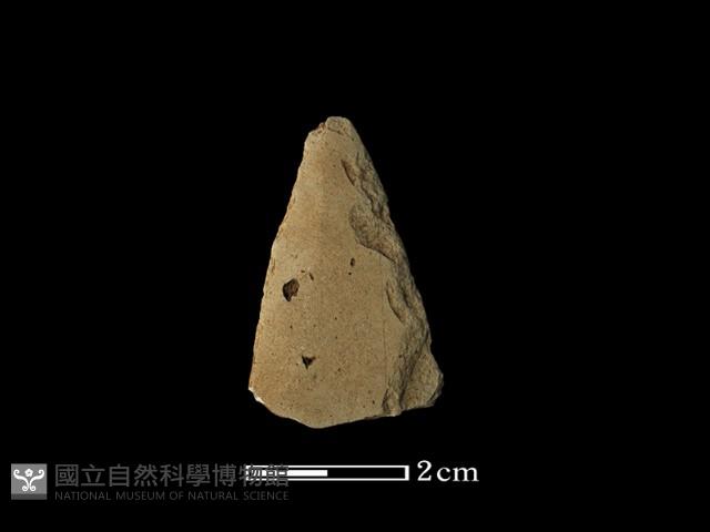 矛鏃形器藏品圖，第1張