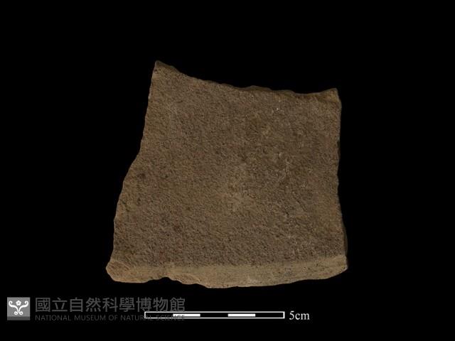 磨製石器藏品圖，第1張