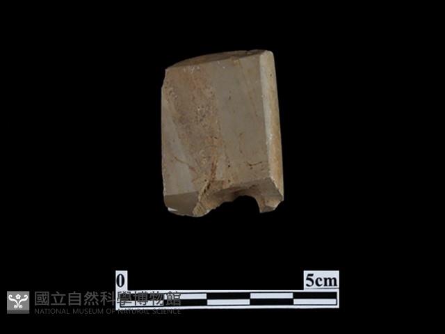 錛鑿形器藏品圖，第1張