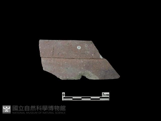 陶缸藏品圖，第1張