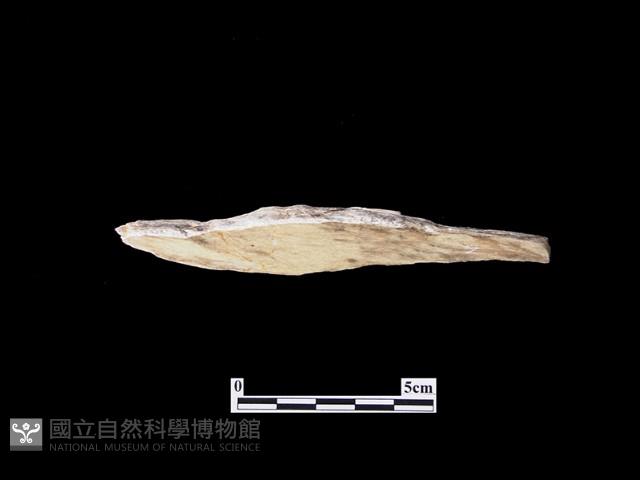 帶加工痕石材藏品圖，第1張