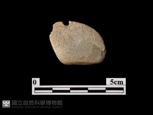 帶加工痕石材藏品圖，第2張