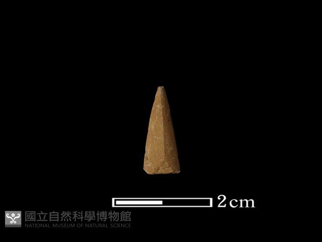 矛鏃形器藏品圖，第2張