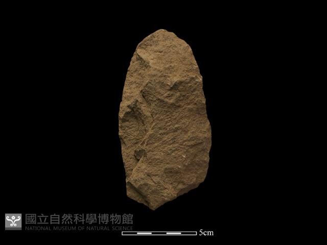 Accession Number:TPCN1-686 Collection Image, Figure 1, Total 2 Figures