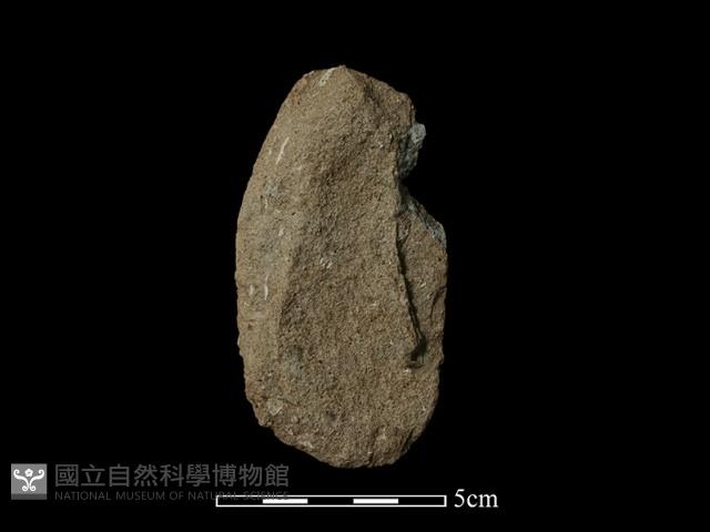 斧鋤形器藏品圖，第2張