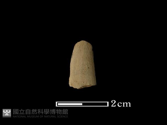 矛鏃形器藏品圖，第1張