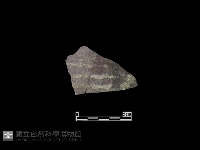 陶片藏品圖，第2張