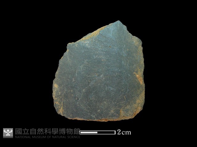 矛鏃形器藏品圖，第1張