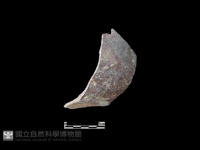 陶缽藏品圖，第1張