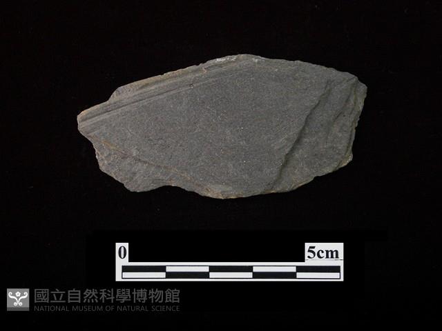 帶加工痕石材藏品圖，第1張