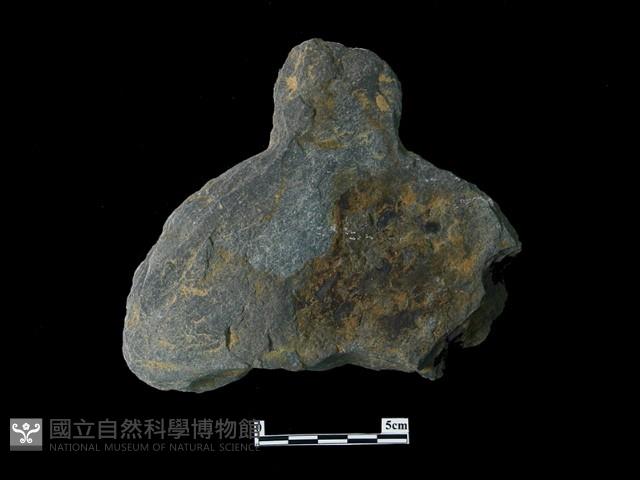 帶柄圓板形石器藏品圖，第2張