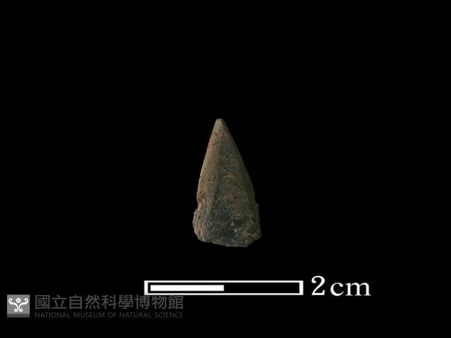 矛鏃形器藏品圖，第1張