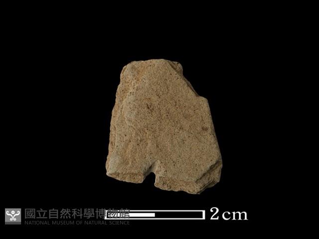 矛鏃形器藏品圖，第1張