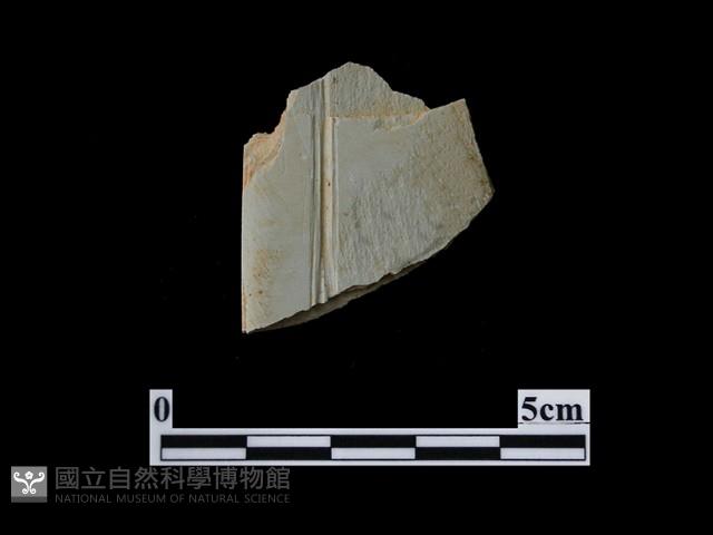 帶加工痕石材藏品圖，第1張