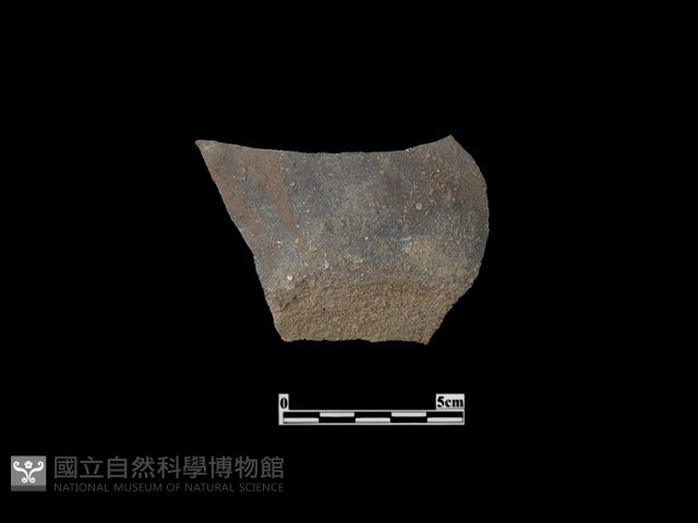 陶片藏品圖，第1張