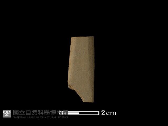 矛鏃形器藏品圖，第1張