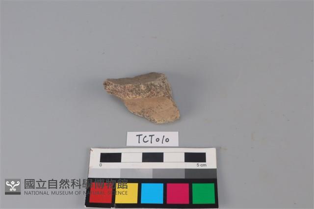 陶片藏品圖，第1張