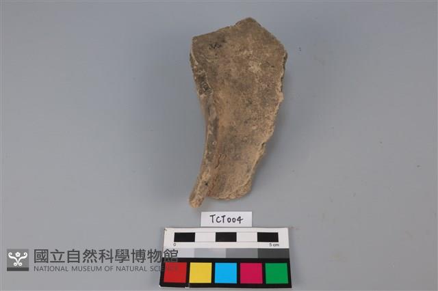 陶片藏品圖，第1張