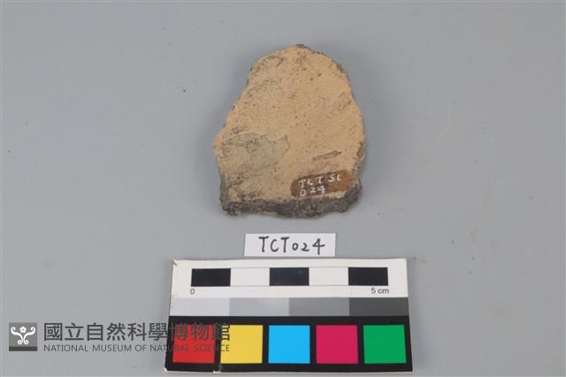 陶片藏品圖，第1張
