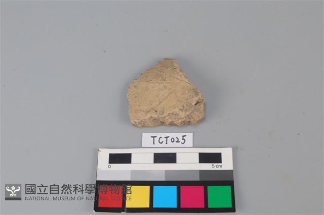 陶片藏品圖，第1張