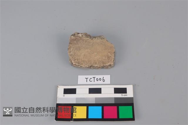 陶片藏品圖，第1張