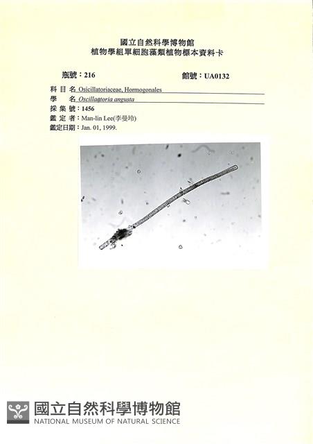 登錄號:UA0132藏品圖，第1張