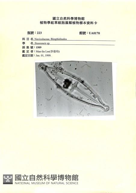 登錄號:UA0170藏品圖，第1張