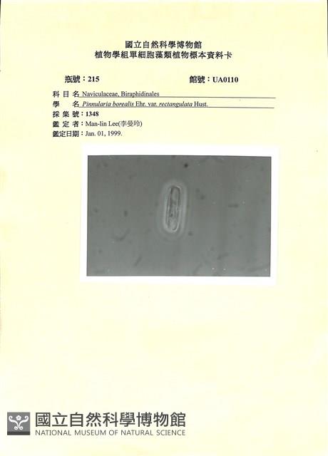 登錄號:UA0110藏品圖，第1張