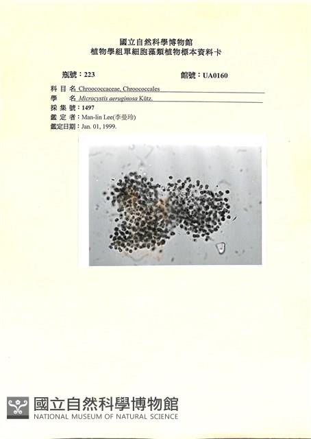 登錄號:UA0160藏品圖，第1張