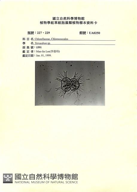 登錄號:UA0250藏品圖，第1張