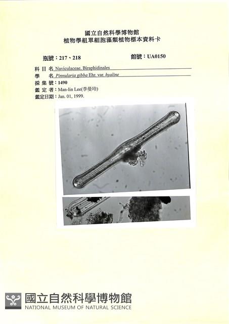 登錄號:UA0150藏品圖，第1張