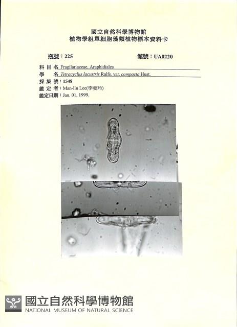 登錄號:UA0220藏品圖，第1張