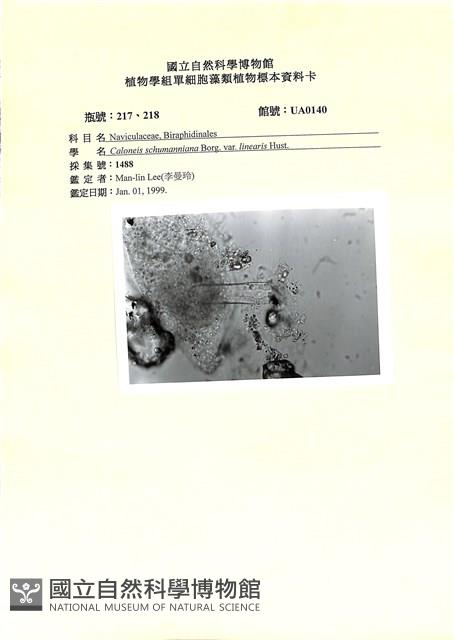 登錄號:UA0140藏品圖，第1張