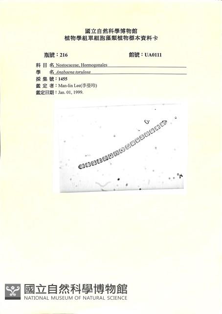登錄號:UA0111藏品圖，第1張
