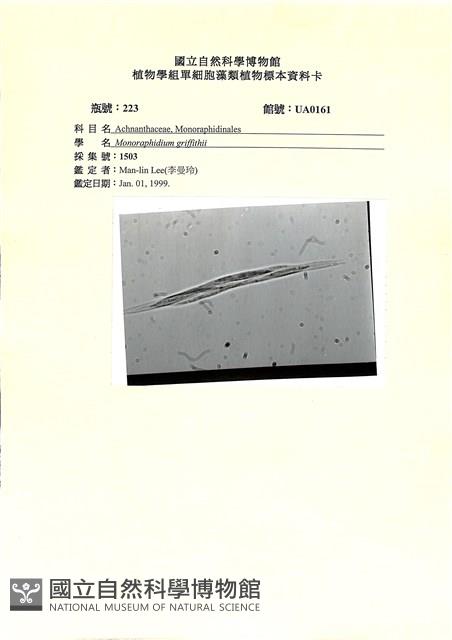 登錄號:UA0161藏品圖，第1張