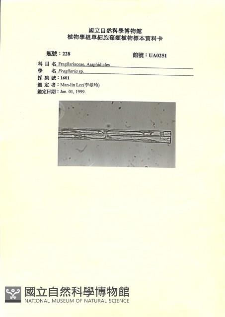 登錄號:UA0251藏品圖，第1張