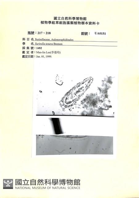登錄號:UA0151藏品圖，第1張