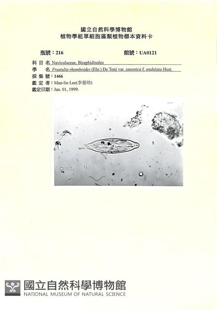 登錄號:UA0121藏品圖，第1張