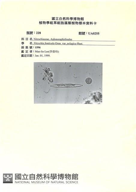 登錄號:UA0255藏品圖，第1張