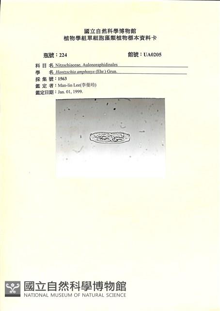 登錄號:UA0205藏品圖，第1張