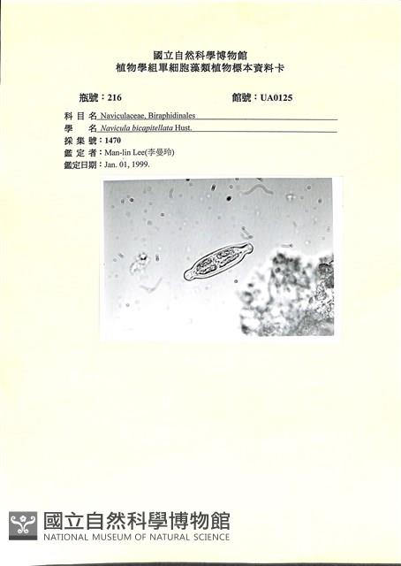 登錄號:UA0125藏品圖，第1張
