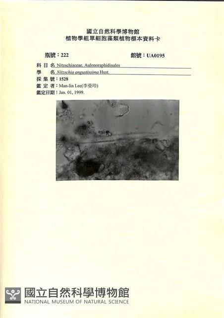 館號:UA0195藏品圖，第1張