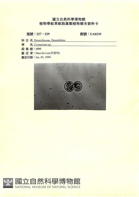 登錄號:UA0239藏品圖，第1張