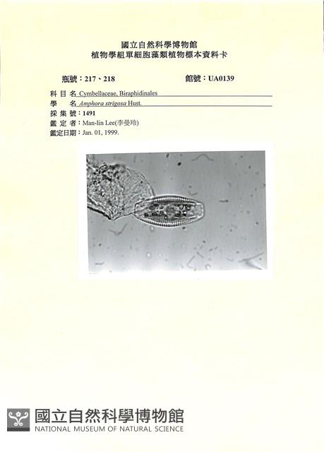 登錄號:UA0139藏品圖，第1張