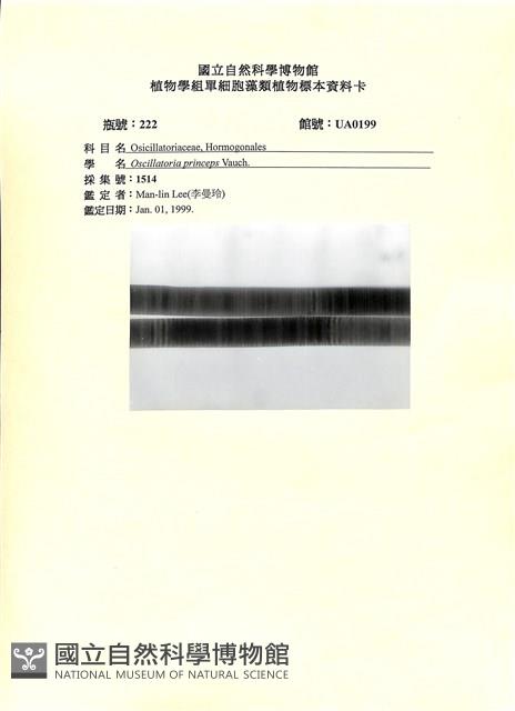 登錄號:UA0199藏品圖，第1張