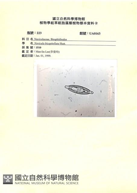 館號:UA0163藏品圖，第1張