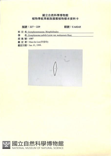 登錄號:UA0243藏品圖，第1張