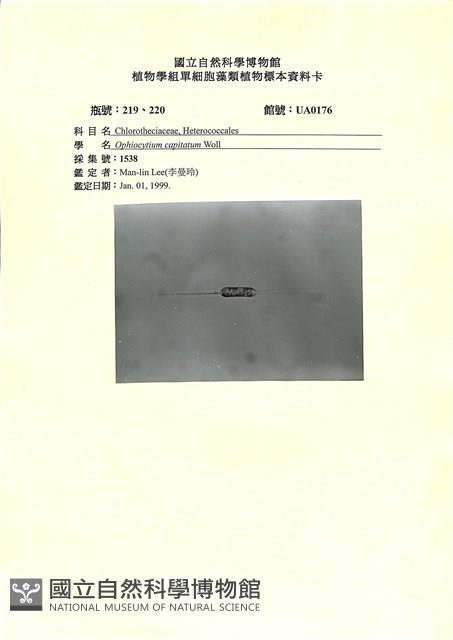 登錄號:UA0176藏品圖，第1張